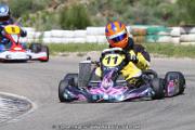 20110501_ales_agnus (3427)